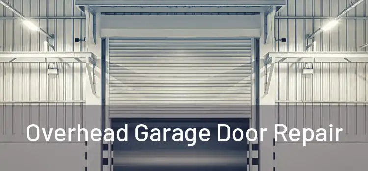  Overhead Garage Door Repair 